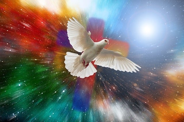 dove flying over the universe