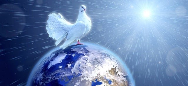 white dove sitting on the globe of Earth